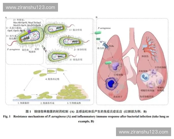 运动干预在改善慢性疾病管理中的作用及其机制研究 运动干预在改善慢性疾病管理中的作用及其机制研究